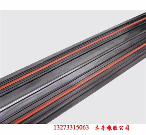 辽宁.气质 300 8背贴式橡胶止水带 产品图集