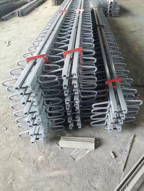 d60伸缩缝 伸缩缝 衡水晟泽建材