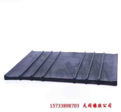 350 8中埋式橡胶止水带 标签 南京 厂家推荐
